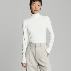 Everlane pima micro rib turtleneck white